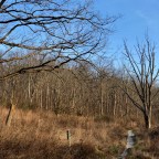 The Road To 50k: First Steps