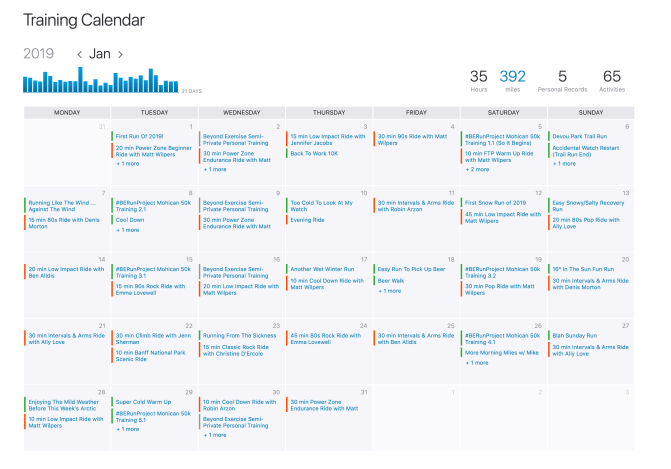 My Strava training calendar for January 2019. #nodaysoff
