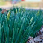 The Road To 50k: Signs Of Life