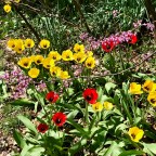 Four Months In And #NoDaysOff