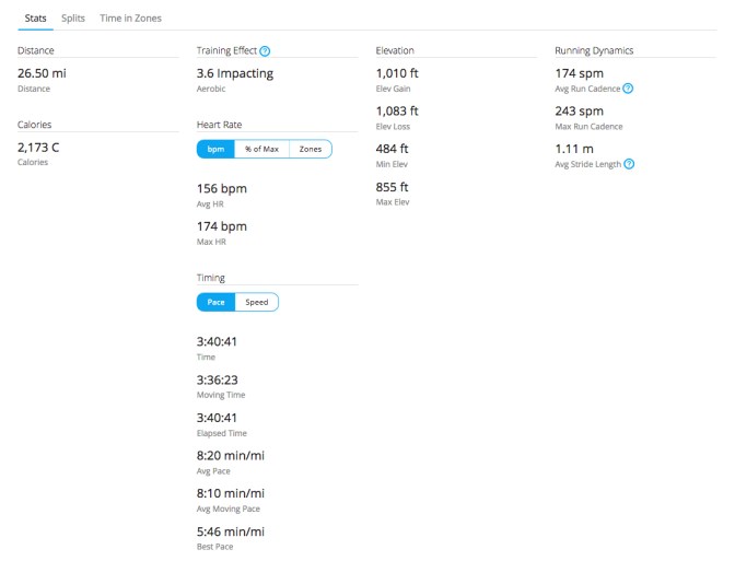 flying-pig-2019-garmin-stats