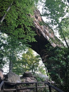 Beneath Natural Bridge. Photo by Curt Whitacre.