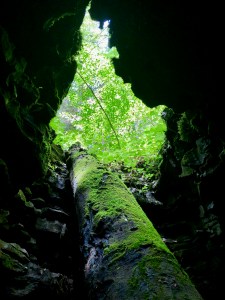 Beneath Henson's Arch near the Whittleton Campground in Red River Gorge. Photo by Curt Whitacre.