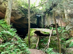 The Whittleton Arch in Daniel Boone National Forest. Photo by Curt Whitacre.