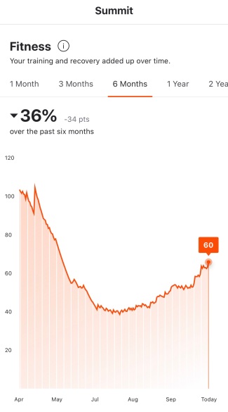 A screen capture of my Strava Summit fitness data.